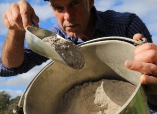 The question of wood ash