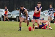 Cooke’s 7 gets Cats home