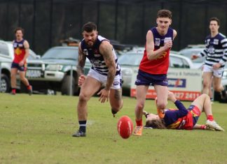 Cooke’s 7 gets Cats home