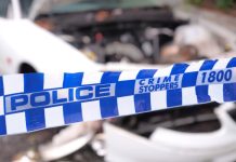 Man arrested after evading police in stolen vehicle