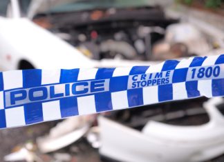 Man arrested after evading police in stolen vehicle