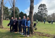 Exceeding all expectations