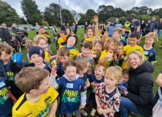 Soccer club’s pitch for reserve