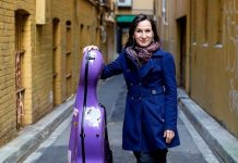 Concert supports orchestra