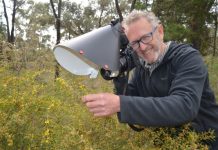 An afternoon in the bush