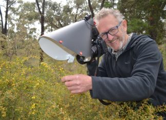 An afternoon in the bush