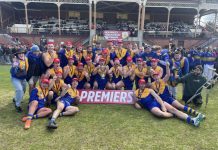 Harcourt Lions roar to MCDFNL victory