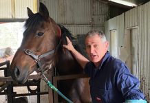 Horse manure, worming and compost