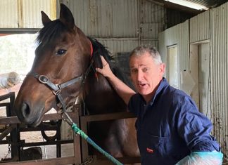 Horse manure, worming and compost