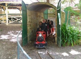 Country carnival returns!