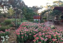 RCVC garden fundraiser