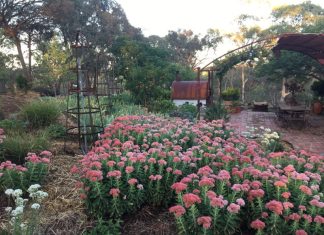 RCVC garden fundraiser