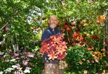 A whimsical wonderland