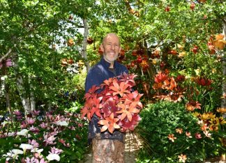 A whimsical wonderland