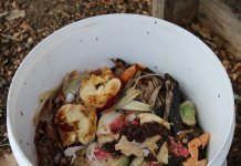 There’s a fly in my compost