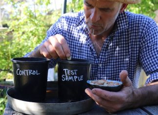 How to test for herbicide residues