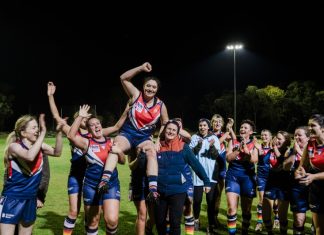 Falcons ready to soar