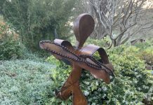 The wonders of nature