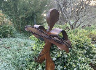 The wonders of nature