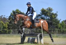 Horse trials at Kyneton