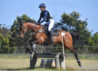 Horse trials at Kyneton