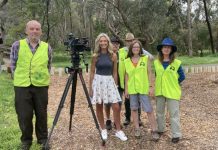 Postcards wanders Woodend