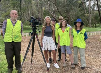 Postcards wanders Woodend