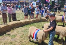 Kyneton Show competition smashes records