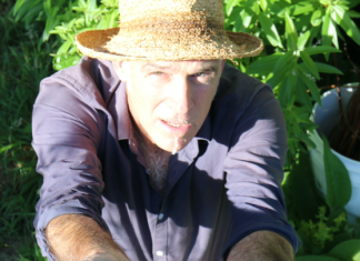 Is that mulch or is it compost?