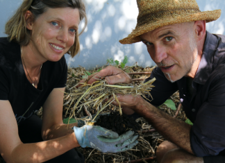 Don’t kill your compost, it’s alive!