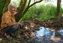 Call to restore creek