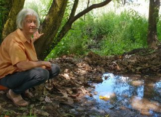Call to restore creek