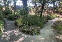 Gardens make progress