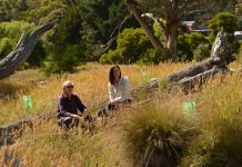 River restoration a win-win