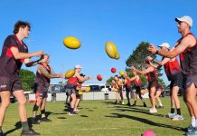 ‘Top Six’ back for RDFNL