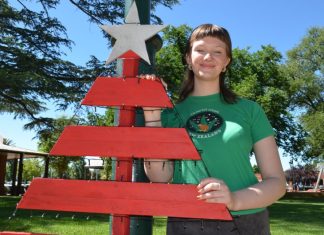 Local talent to shine