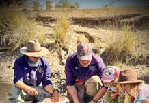 Who ya gonna call to save the ghost fish?