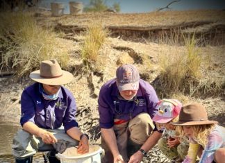 Who ya gonna call to save the ghost fish?