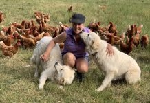 Invest in your food producers