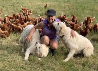 Invest in your food producers