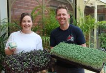 That leaf is a vegetable