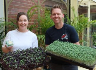 That leaf is a vegetable