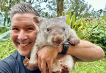 Walk on the wild side