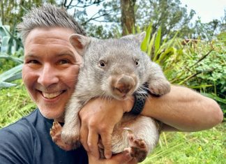 Walk on the wild side