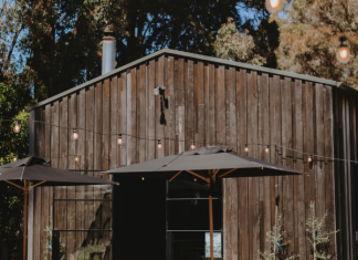 Kick off summer at Wombat Forest