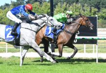 Woodend Cup on Saturday