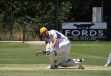 Taradale openers rack up 196-run partnership