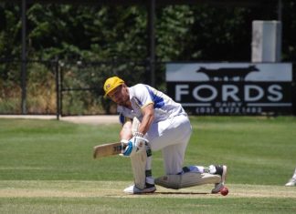 Taradale openers rack up 196-run partnership