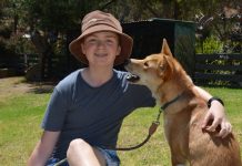 Dingoes thriving at Jirrahlinga
