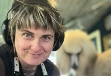 Poodle groomer makes a difference